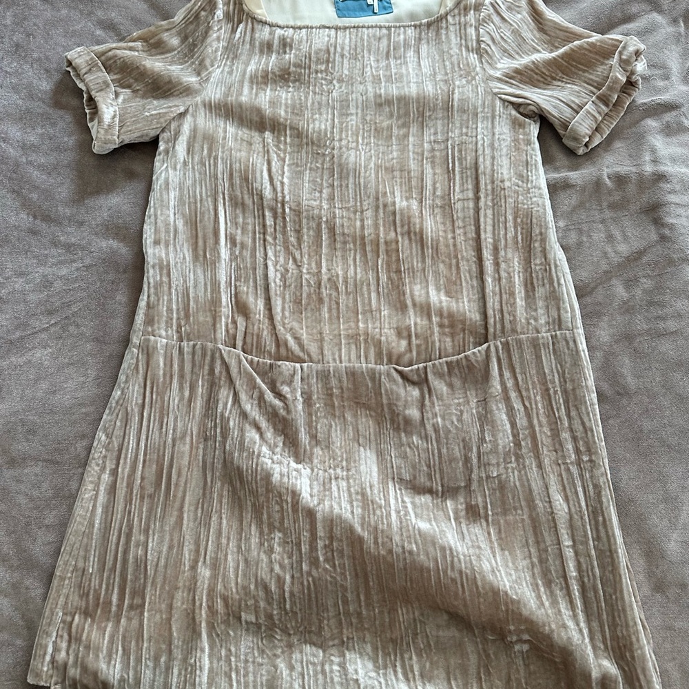 Crushed Velvet Taupe Dress from Anthropologie